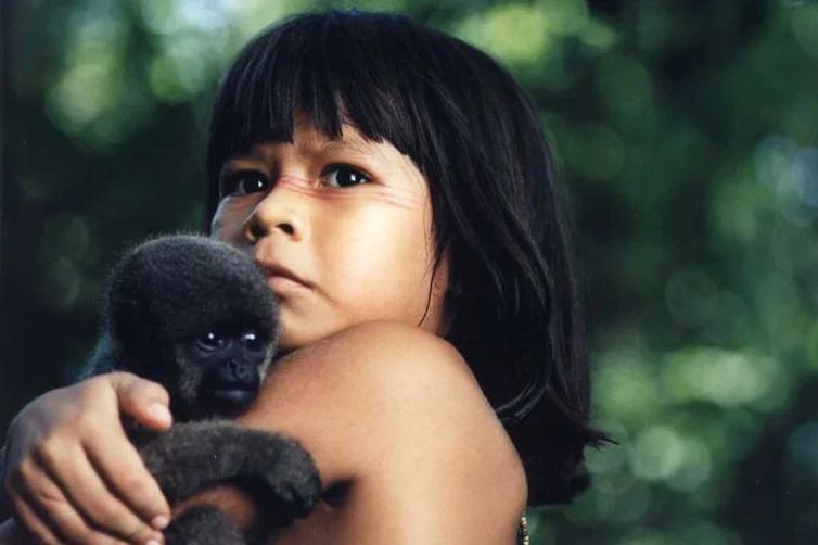 5 dicas para viajar pela Amazônia sem sair de casa
